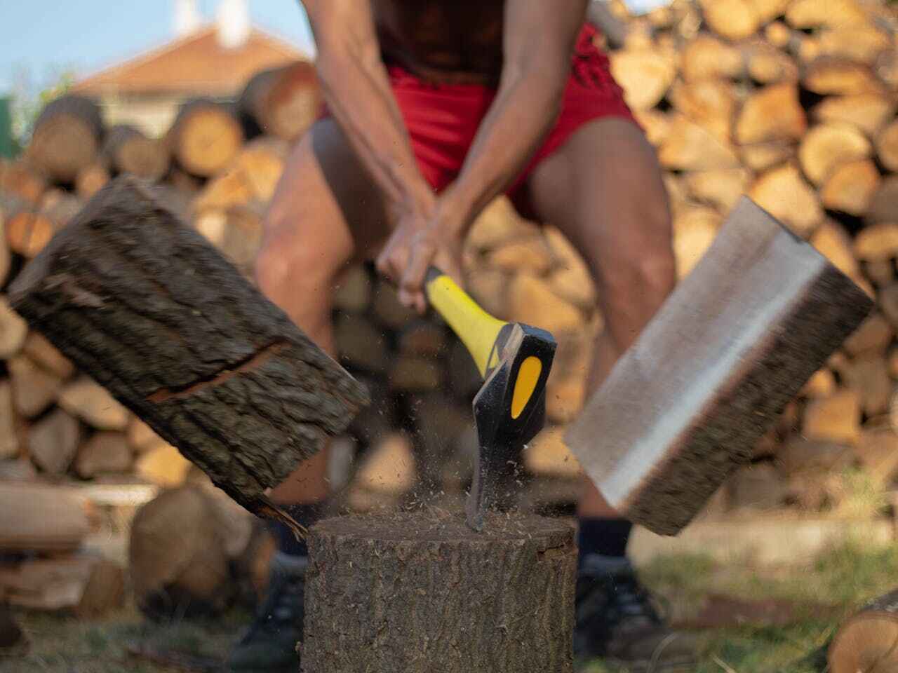 Best Large Tree Removal  in USA